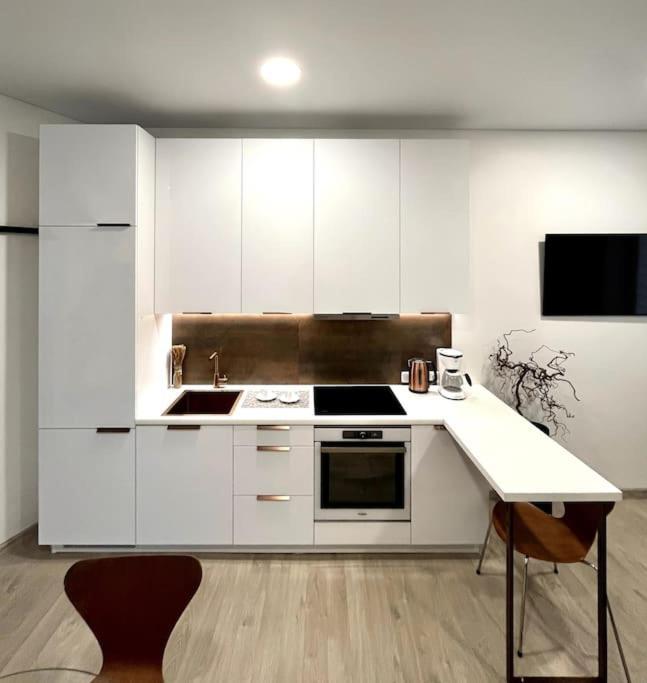 Kaunas Old Town Apartment Екстериор снимка